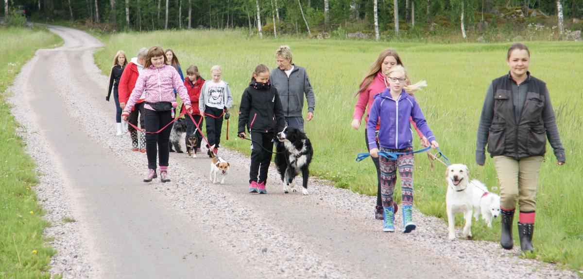 Barn och ledare promenerar på grusväg i sommargrönska på klubben