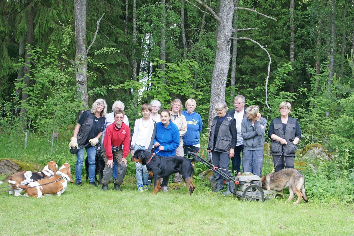 Deltagare i städdag 2015