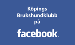 Besök Köpings Brukshundklubb på Facebook