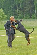 Pusspuss!