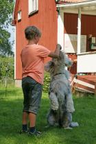 Albin och Becky visar fantastisk "sitta björn"...