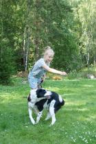 Tindra handleder Ozzy till en snurrig snurr.