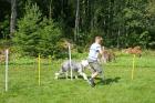 Becky och Albin klarar slalombanan med bravur!