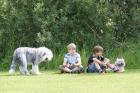 Becky, Albin, Gustav och Chippen lyssnade noga till allt som sas om agilityn.