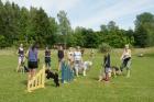Här var det dags för agility med massor med roliga hinder.