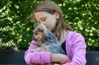 Moa med sitt lilla hjärtegull Curry (yorkshireterrier).
