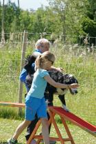 Dags för agility-skoj! Sigrid visar Wille vägen på vår nyinköpta ramp.