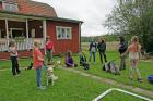 Dags för utställningsträning under rutinerade Carolas ledning.