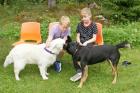 Möte mellan två vänliga själar, Allie och Scott, Carls kelpie.