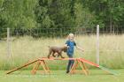 Carl och Ronja fixar rampen finfint!