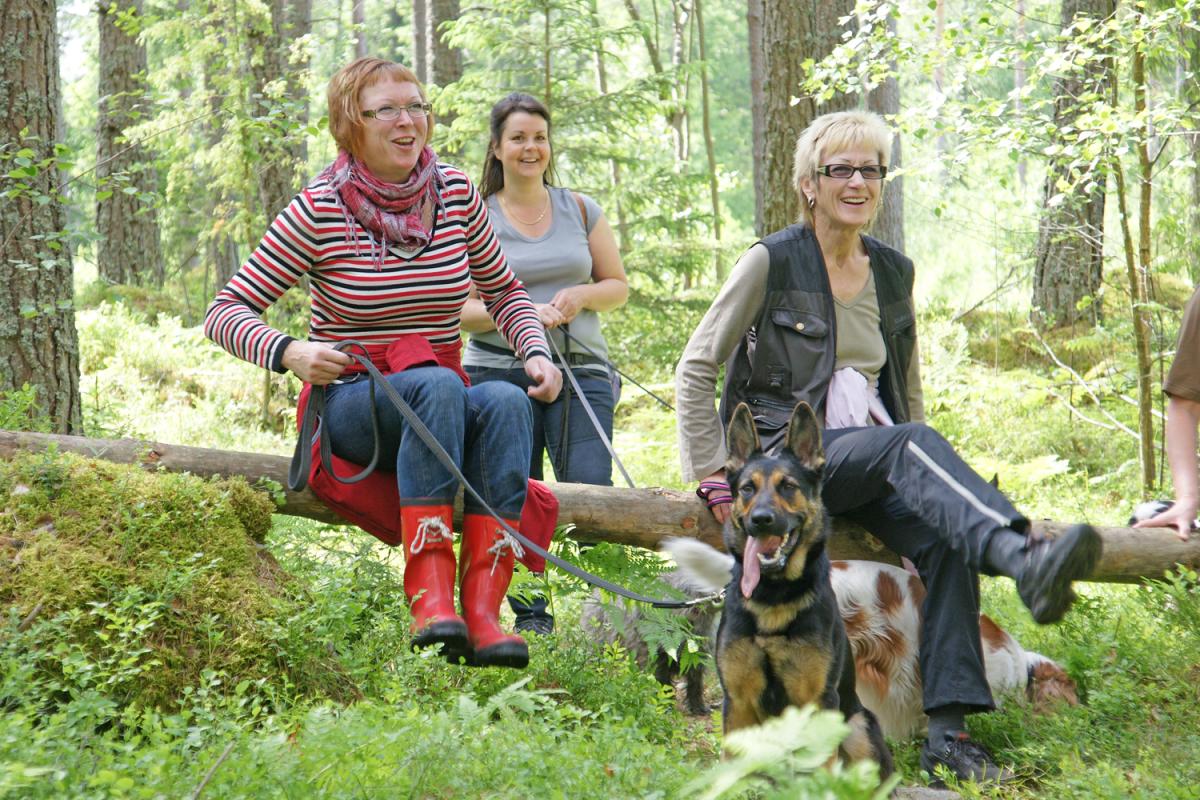Tre tjejer med hundar i vårskogen