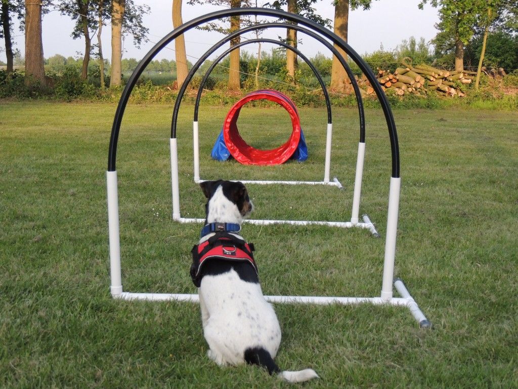 Hoopers-hinder på rad